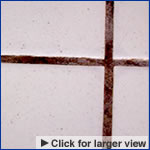 Damaged Grout
